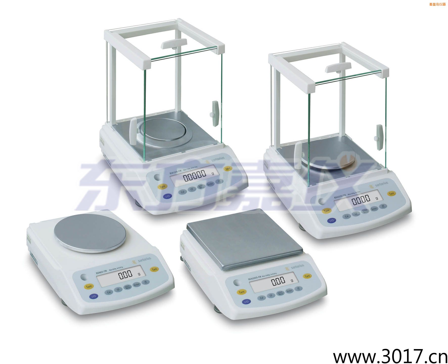 �ػʍuBSA-CWϵ����ӷ�����ƽ,4200g,100mg