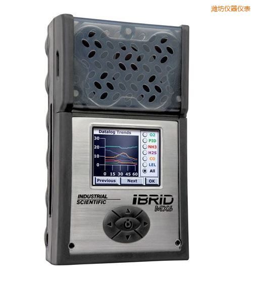 濰坊復(fù)合式6氣體檢測儀