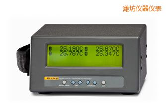 濰坊四通道便攜式測(cè)溫儀